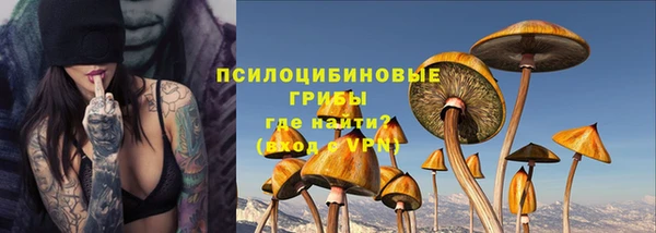 СК Заволжск