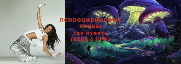 ешки Заводоуковск