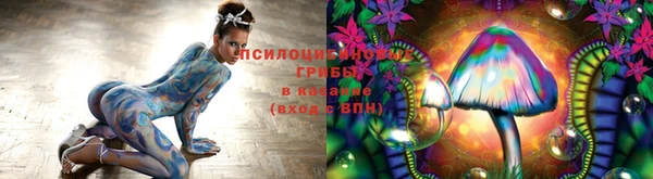mdma Заволжье