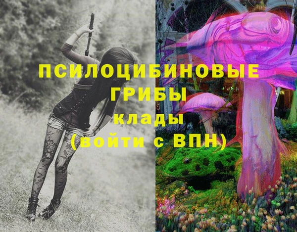 ешки Заводоуковск
