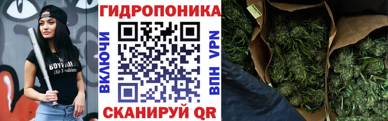 как найти закладки  Сасово  дарк нет состав  Шишки марихуана Ganja 